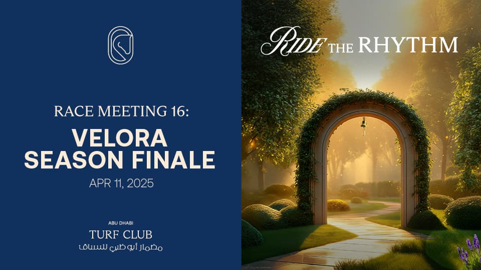 The Garden Race Meeting 16 - Image 1